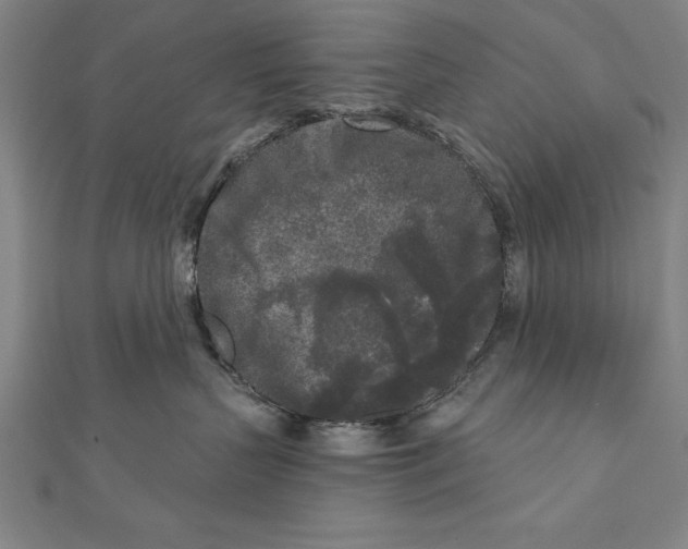 X0000111000383200907101457