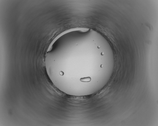 X0000111000384200907101457