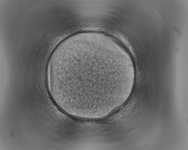 X0000111000385200907101456