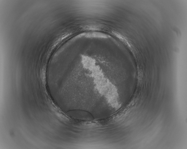 X0000111000386200907101456