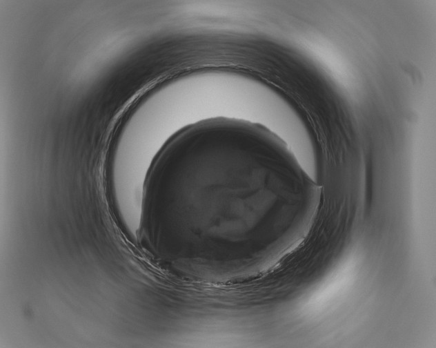 X0000111000387200907101456