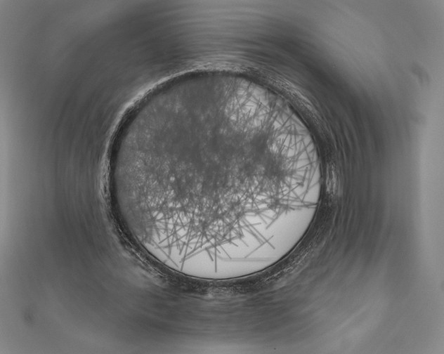 X0000111000388200907101456