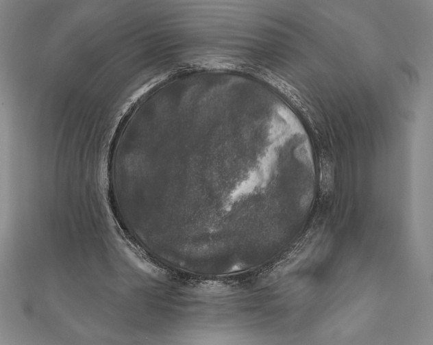 X0000111000390200907101456