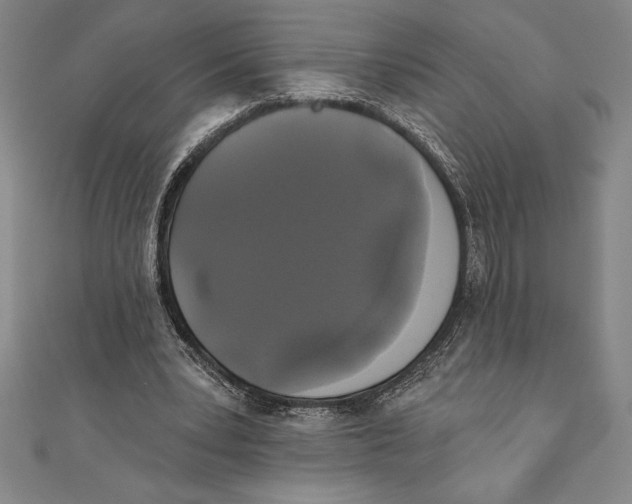 X0000111000391200907101456