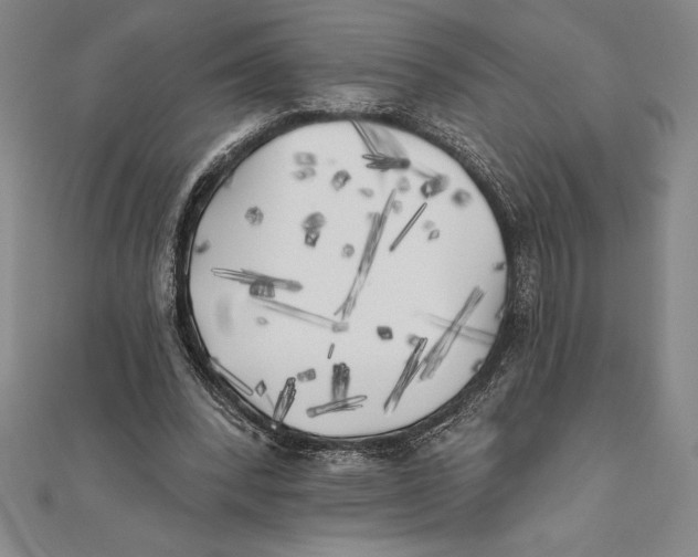 X0000111000392200907101456