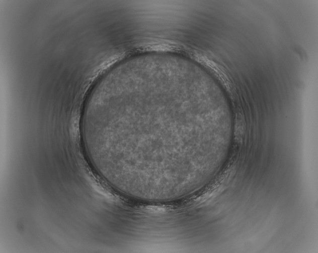 X0000111000394200907101456