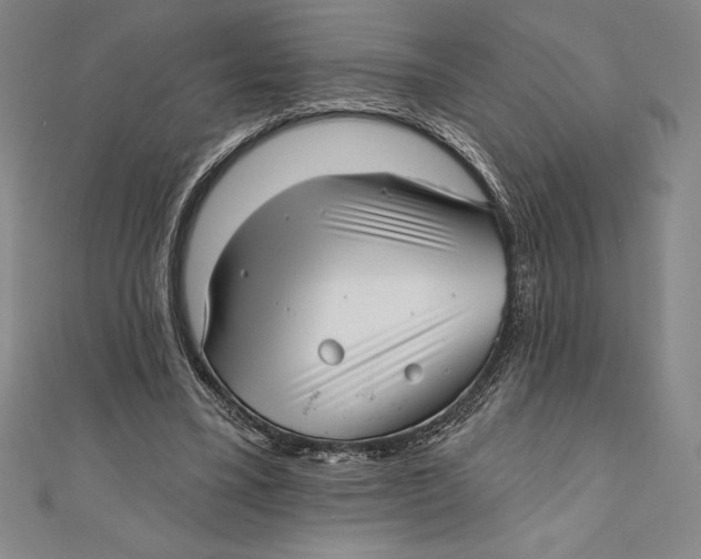 X0000111000395200907101456