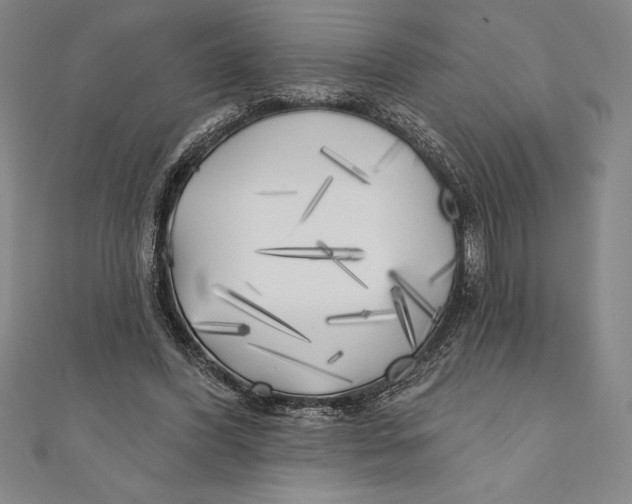 X0000111000396200907101456