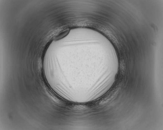 X0000111000397200907101456