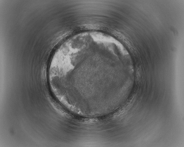 X0000111000398200907101456