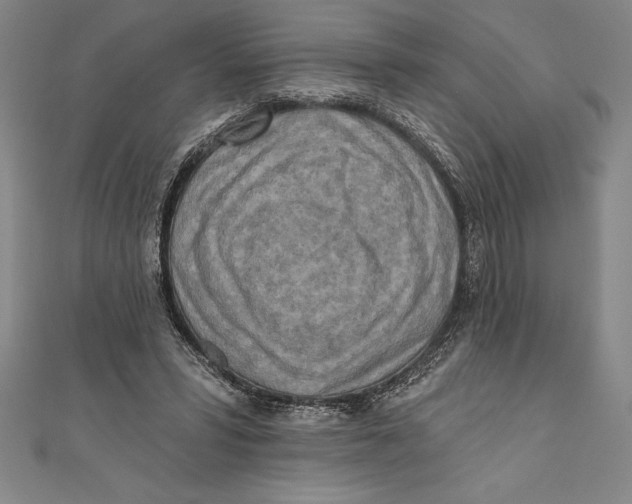 X0000111000399200907101456