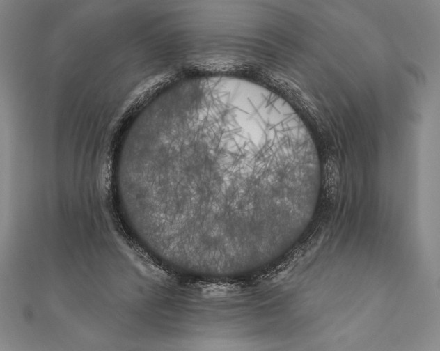 X0000111000400200907101456