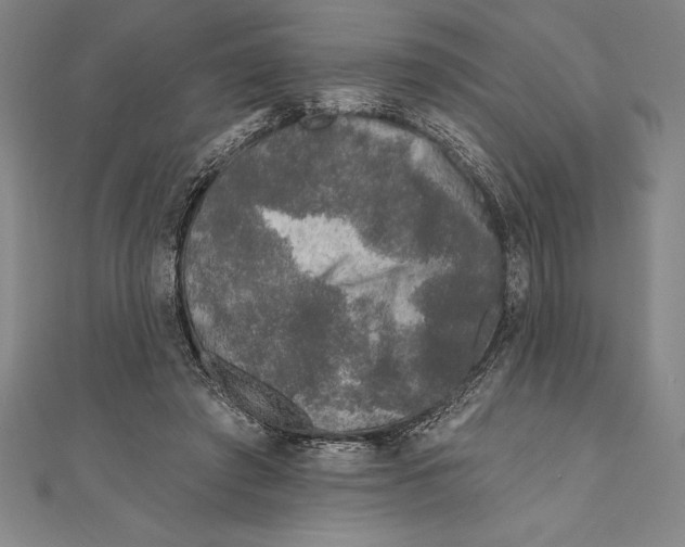 X0000111000401200907101456