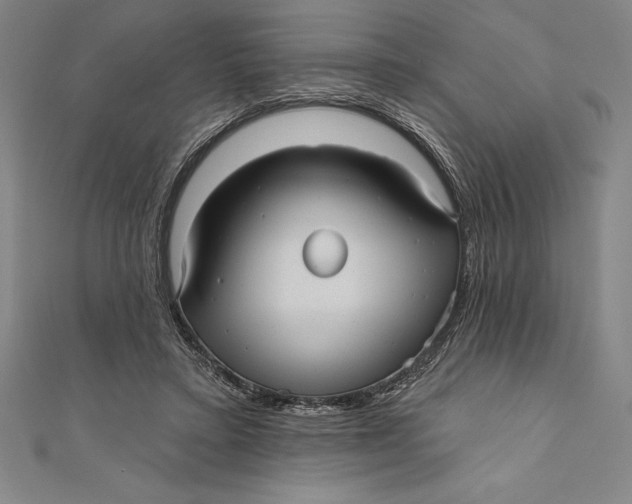 X0000111000403200907101456