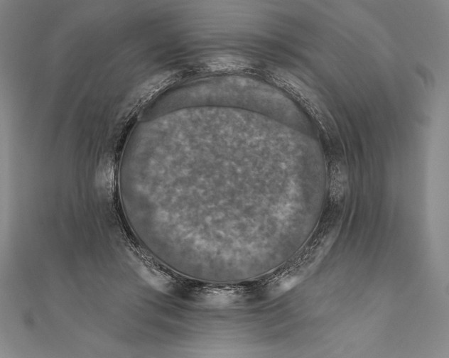 X0000111000405200907101456