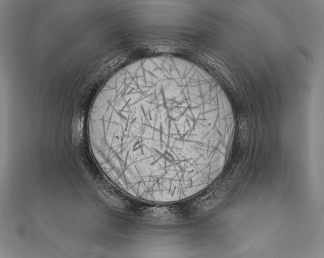 X0000111000406200907101456