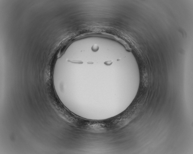 X0000111000407200907101456