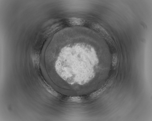 X0000111000409200907101456