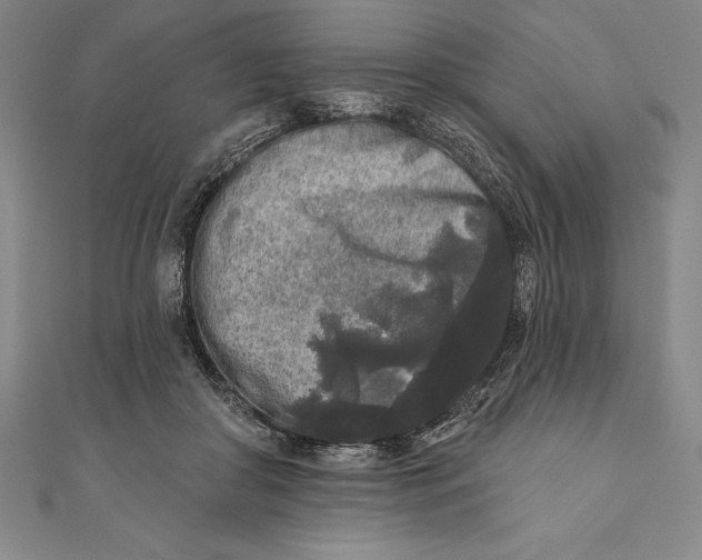 X0000111000410200907101456