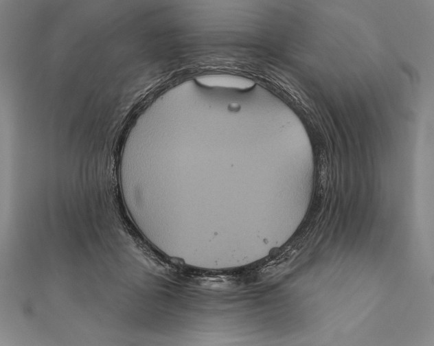 X0000111000411200907101456