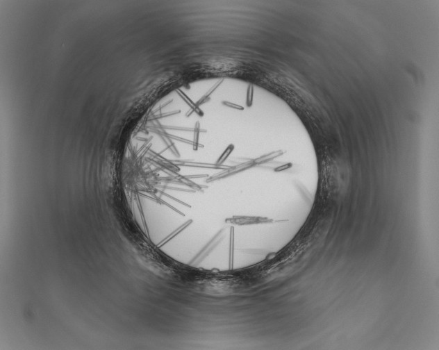 X0000111000412200907101456