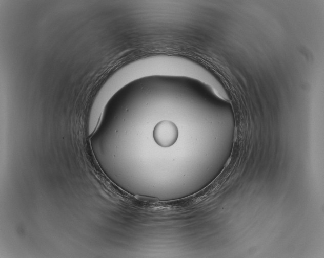 X0000111000413200907101456