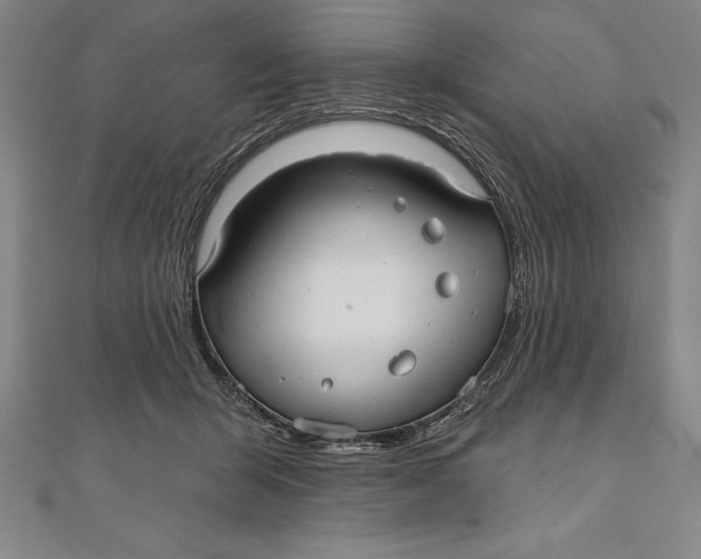 X0000111000415200907101456