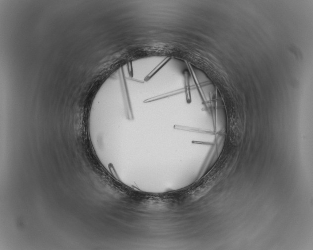 X0000111000416200907101456