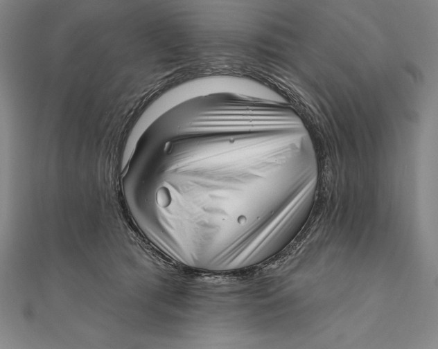 X0000111000417200907101456