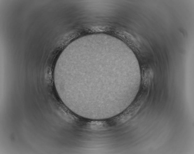 X0000111000418200907101456