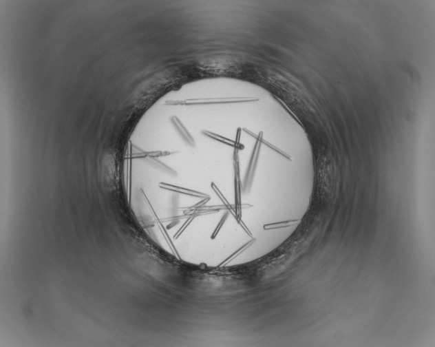 X0000111000420200907101456