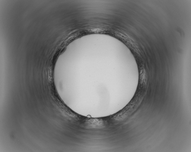 X0000111000421200907101456