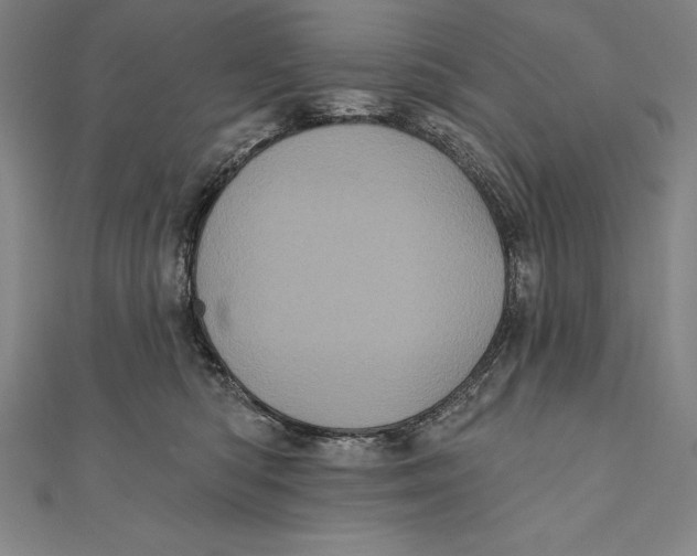 X0000111000422200907101456