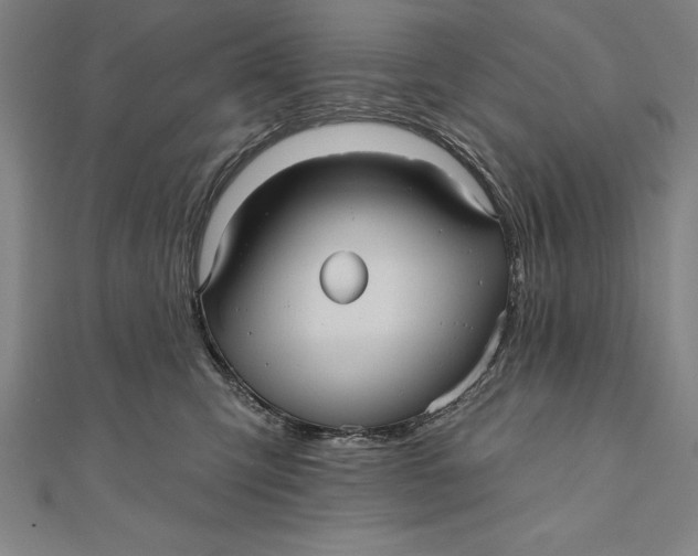 X0000111000423200907101456