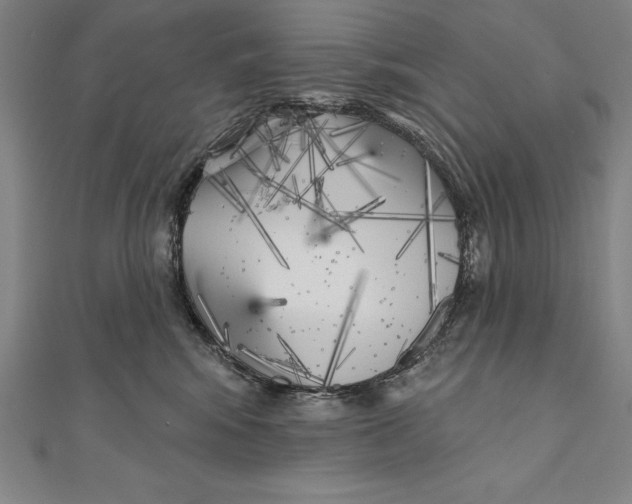 X0000111000424200907101456