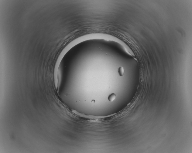 X0000111000425200907101456