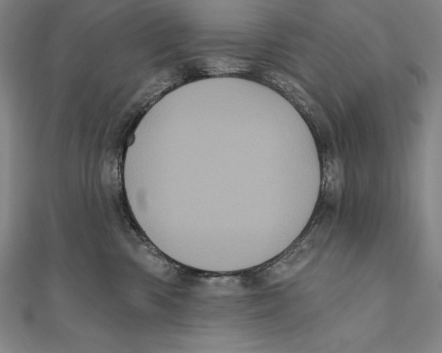 X0000111000426200907101456