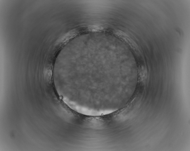 X0000111000427200907101456