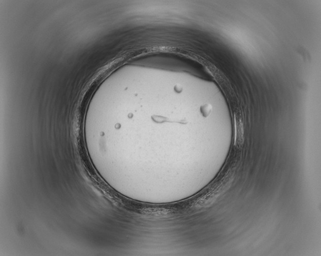 X0000111000435200907101455