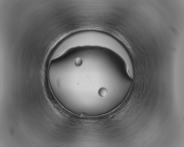 X0000111000436200907101455