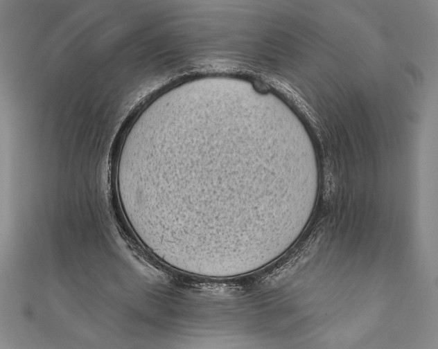 X0000111000439200907101455