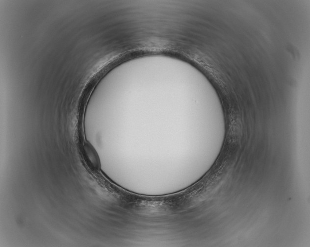 X0000111000440200907101455