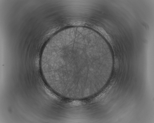 X0000111000441200907101455