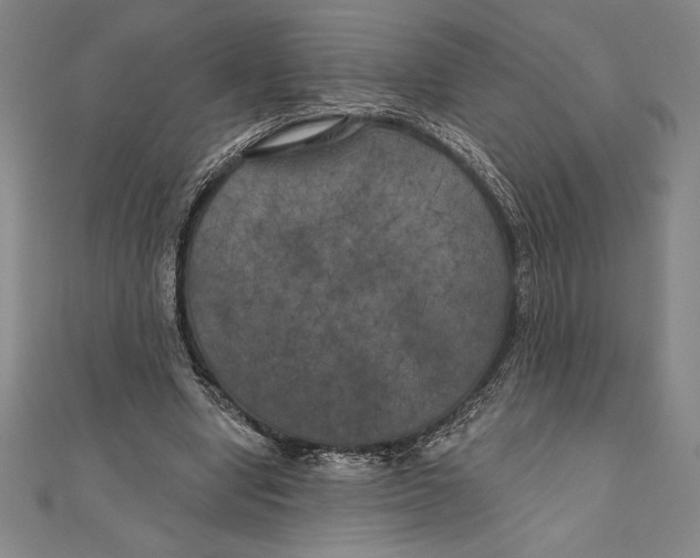 X0000111000442200907101455