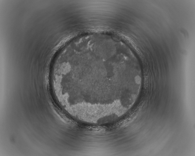 X0000111000443200907101455