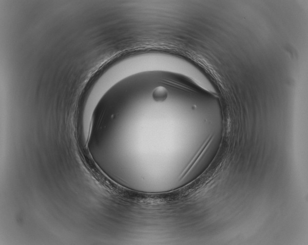 X0000111000444200907101455