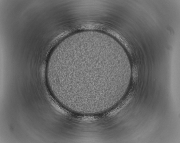 X0000111000445200907101455