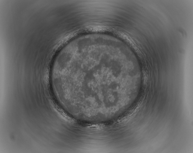 X0000111000447200907101455