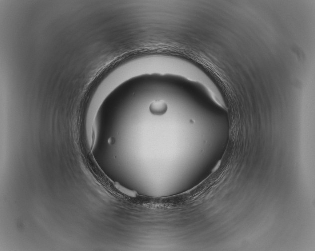 X0000111000448200907101455