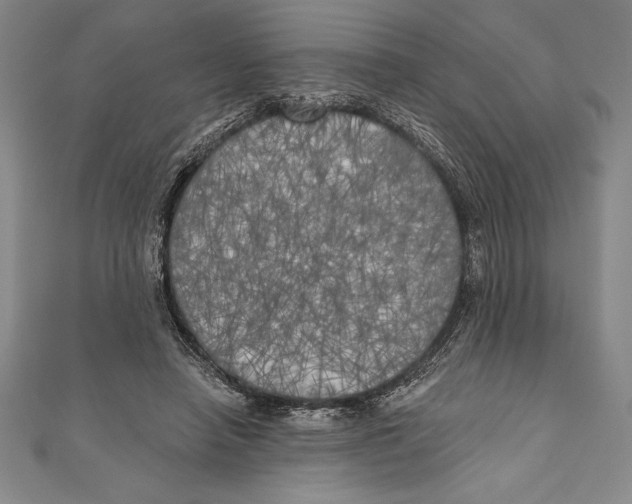 X0000111000450200907101455